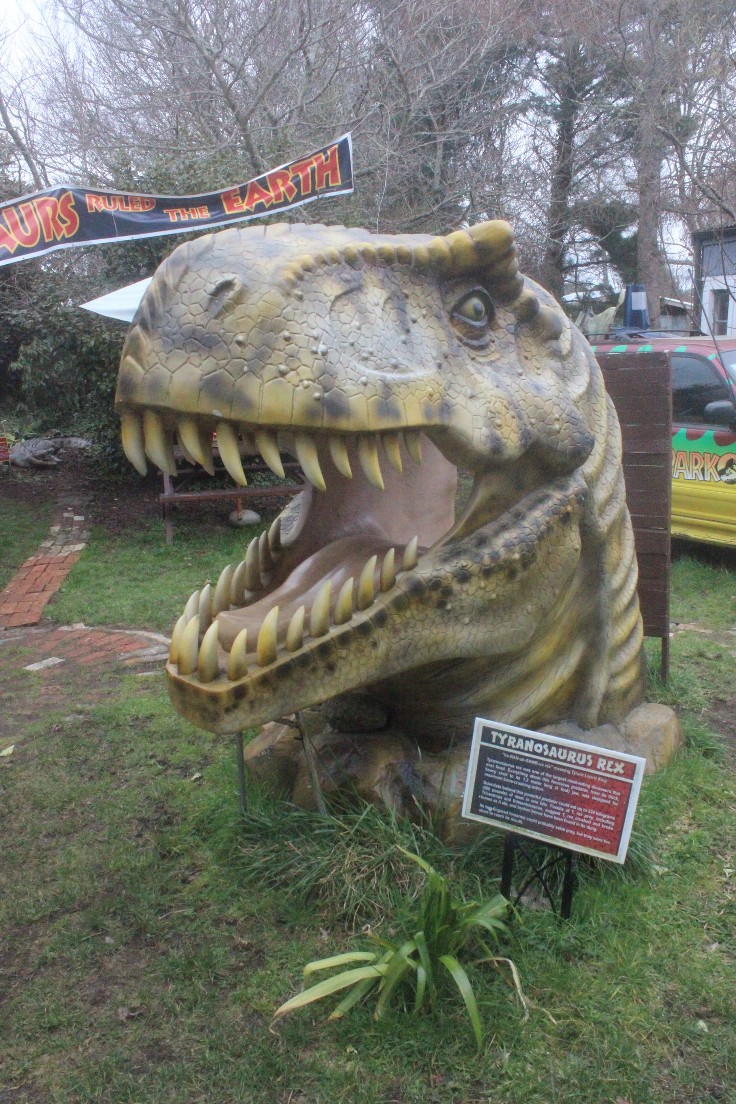 Model of Tyrannosaurus rex, The Dinosaur House (Raetihi)