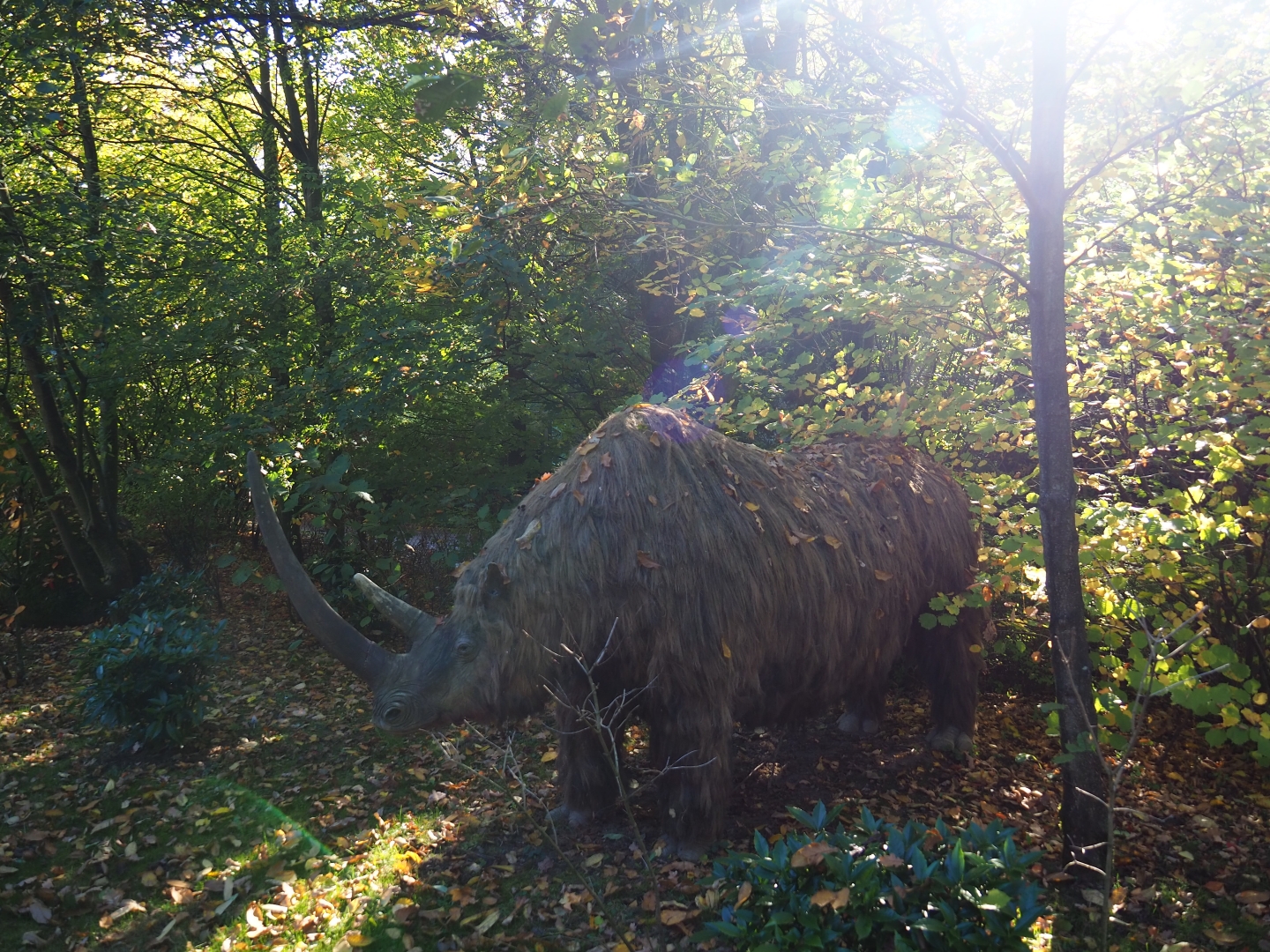 Model of woolly rhinoceros (Coelodonta antiquitatis), Oct 13th, 2018