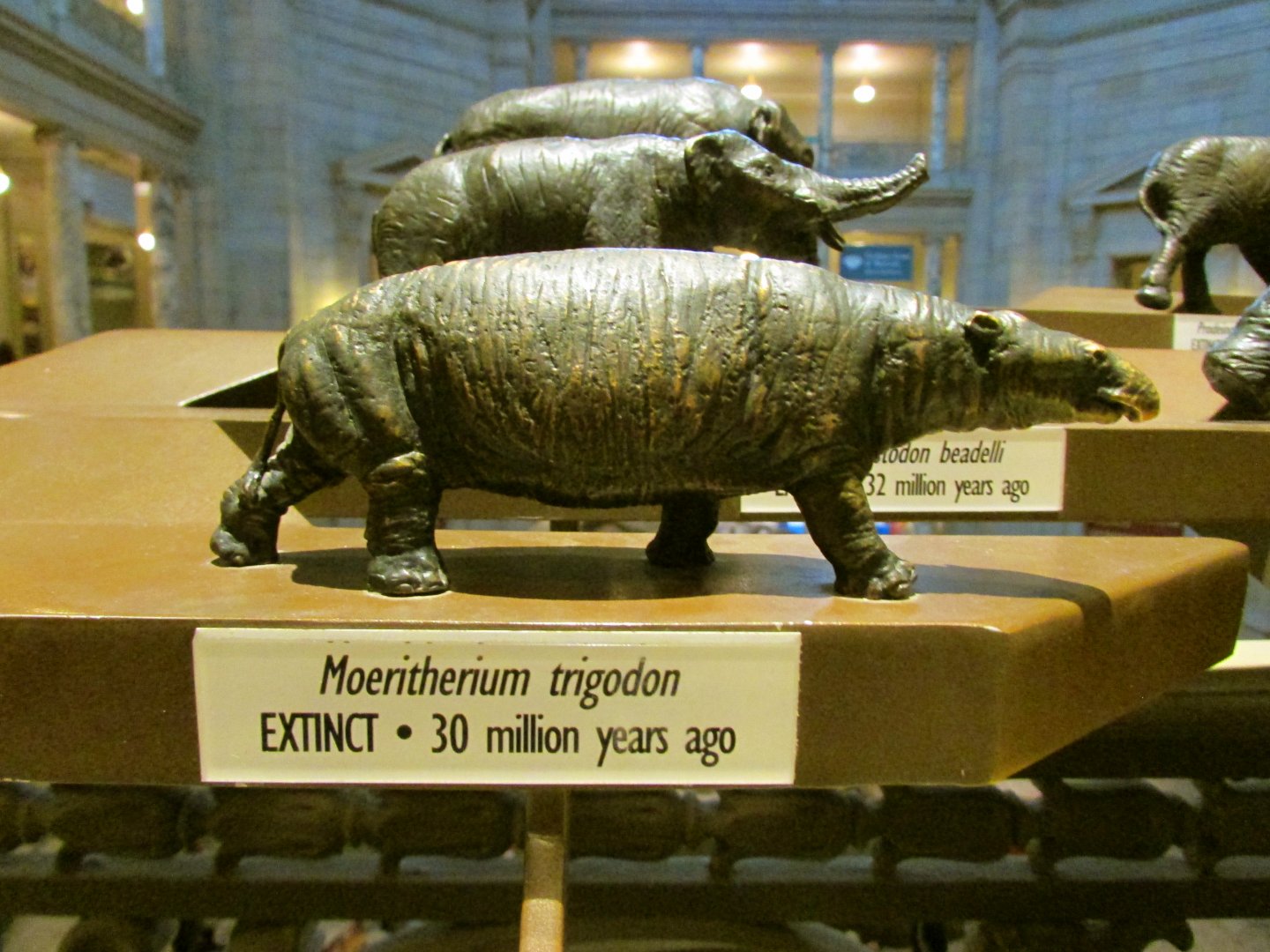 Moeritherium Bronze Sculpture