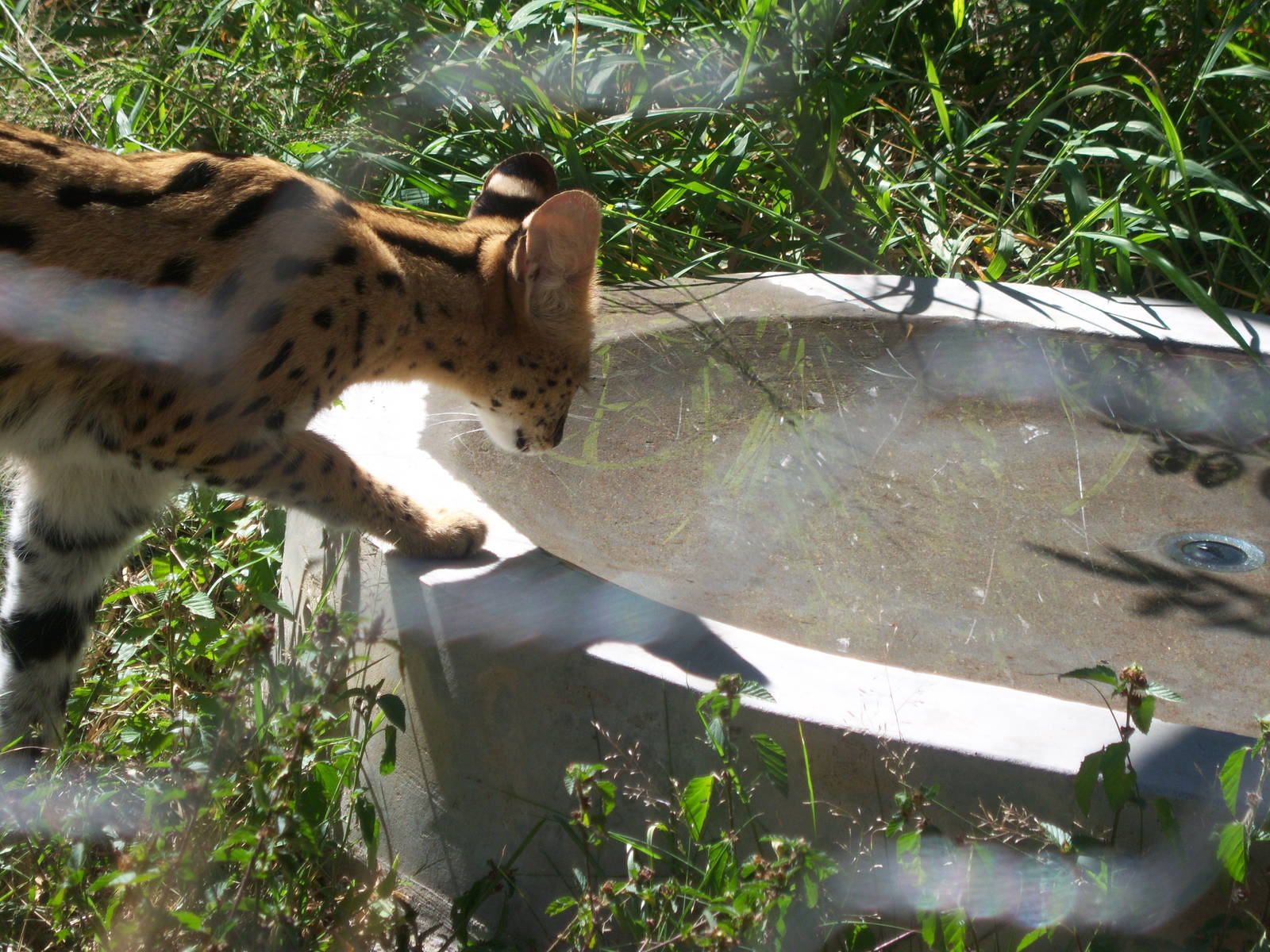 Moholoholo rehabilitation centre