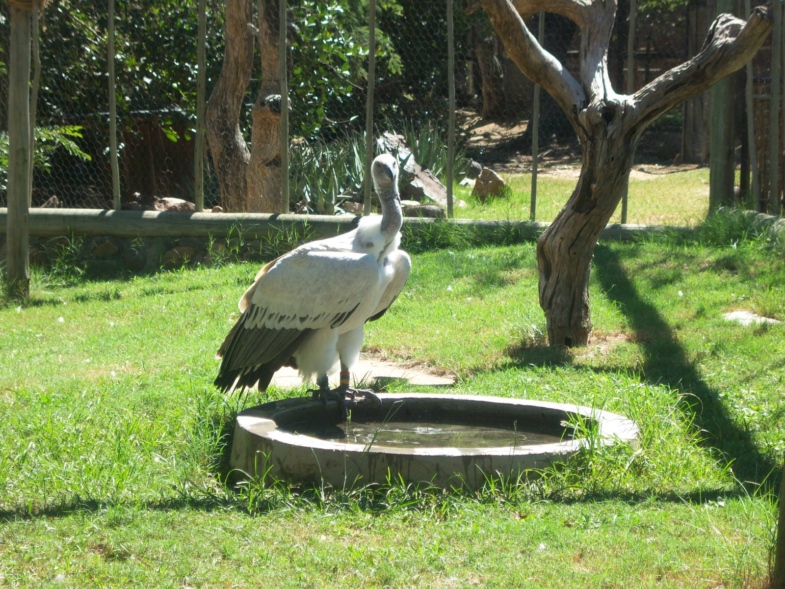 Moholoholo rehabilitation centre