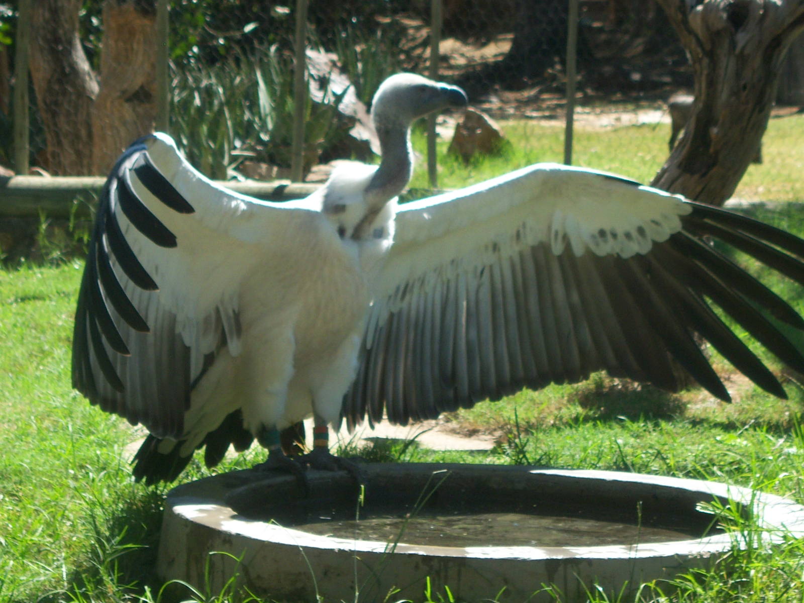 Moholoholo rehabilitation centre
