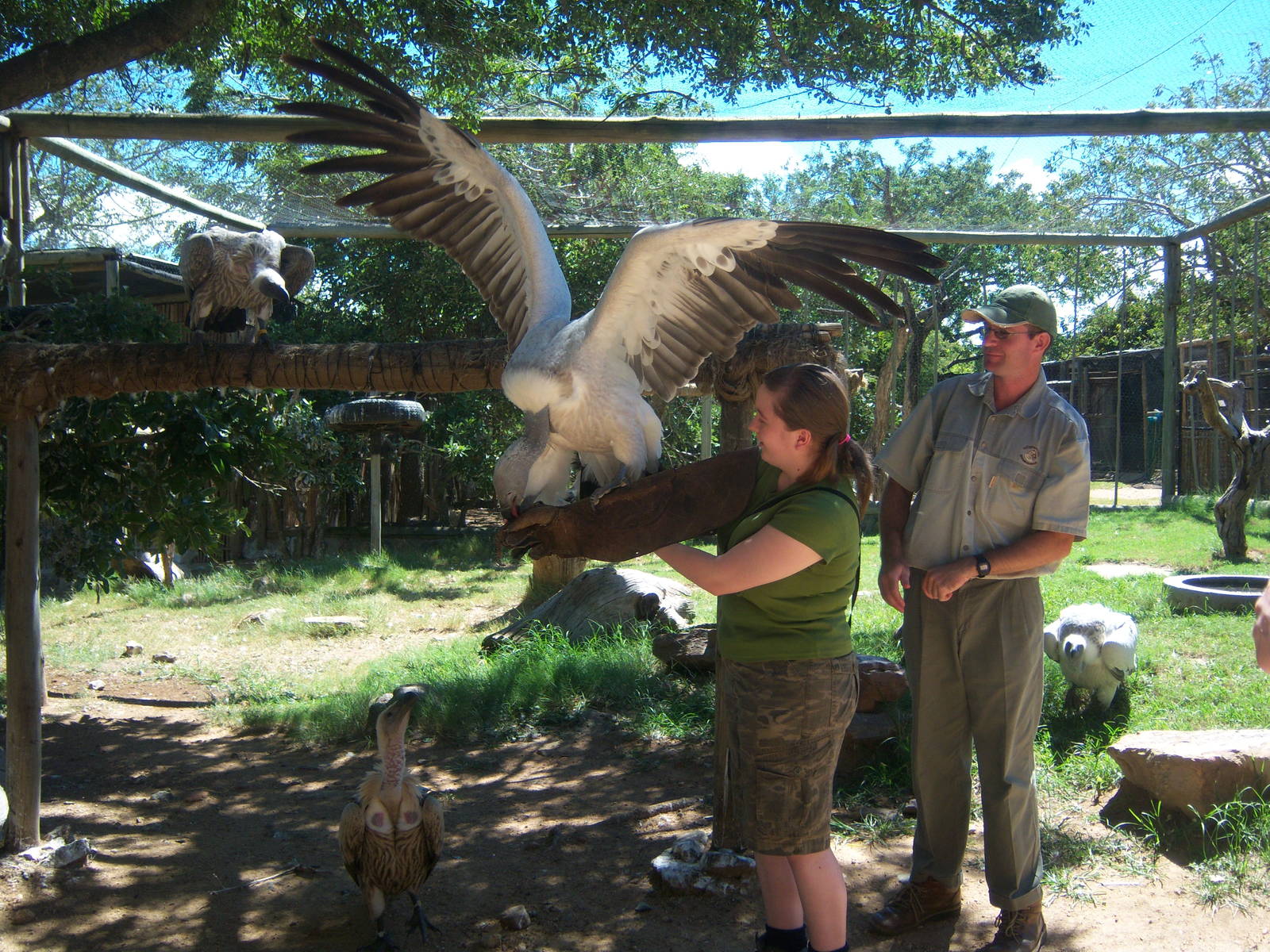 Moholoholo rehabilitation centre