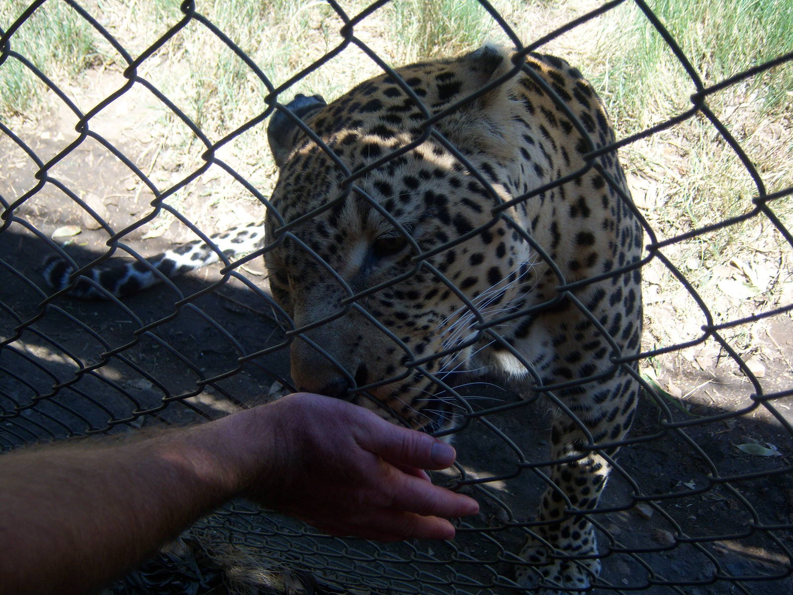 Moholoholo rehabilitation centre