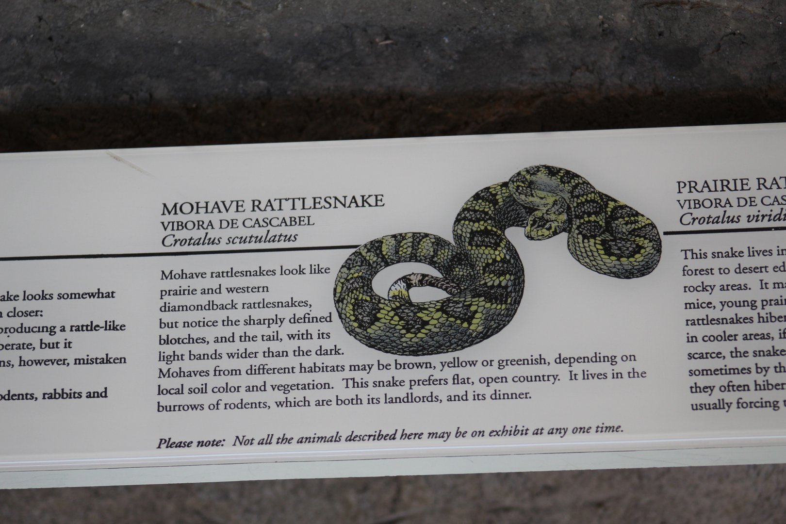 Mojave Rattlesnake Signage