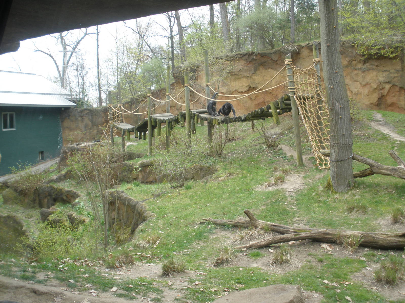 Mokomboso Valley (Chimp Exhibit)