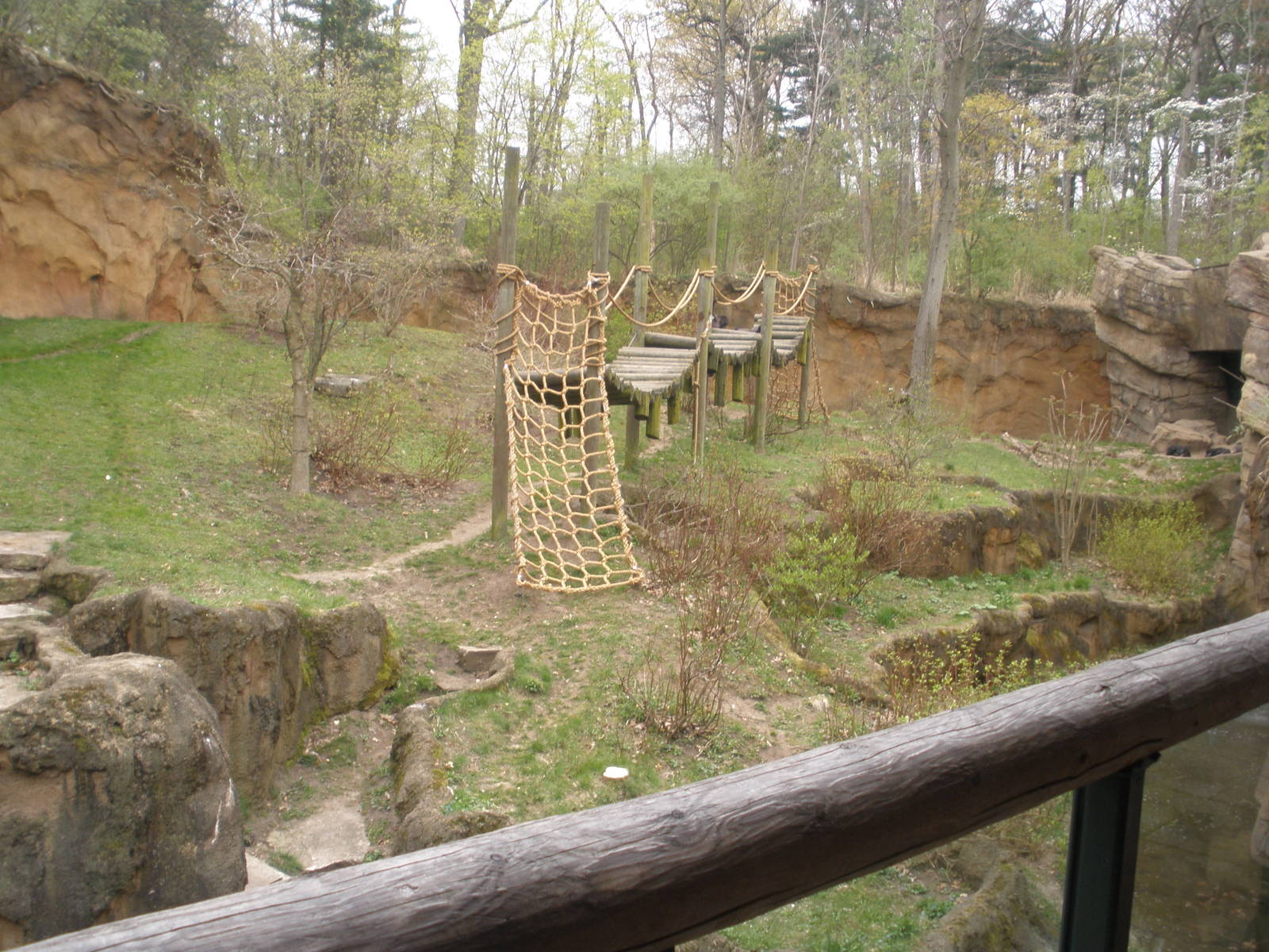 Mokomboso Valley (Chimp Exhibit)