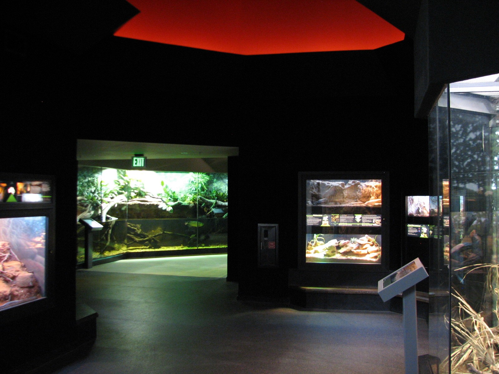 MOLA - Adaptations Gallery