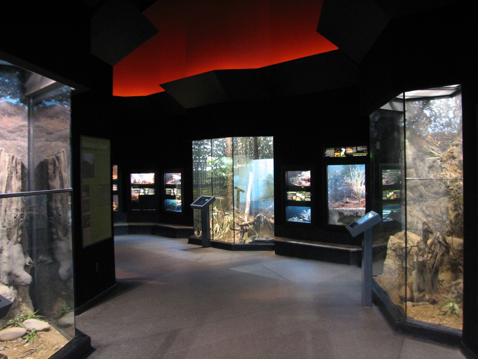 MOLA - Adaptations Gallery