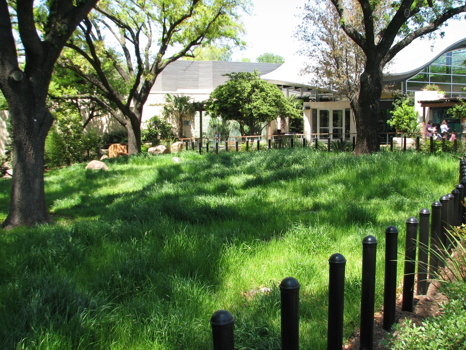 MOLA - Aldabra Tortoise Exhibit