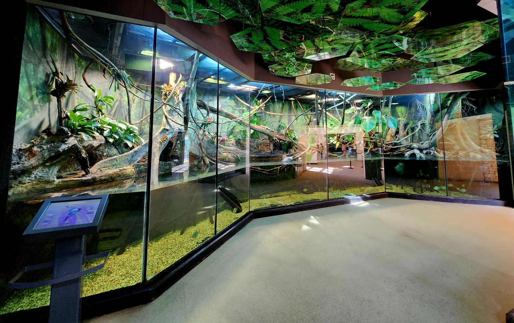 MOLA - Amazon Flooded Forest Exhibit