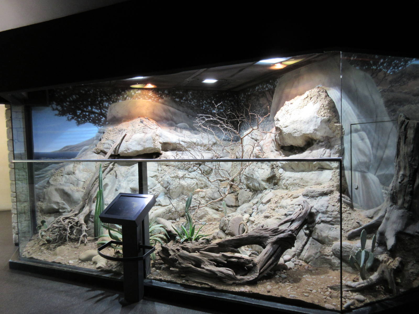 MOLA - American Desert Exhibit