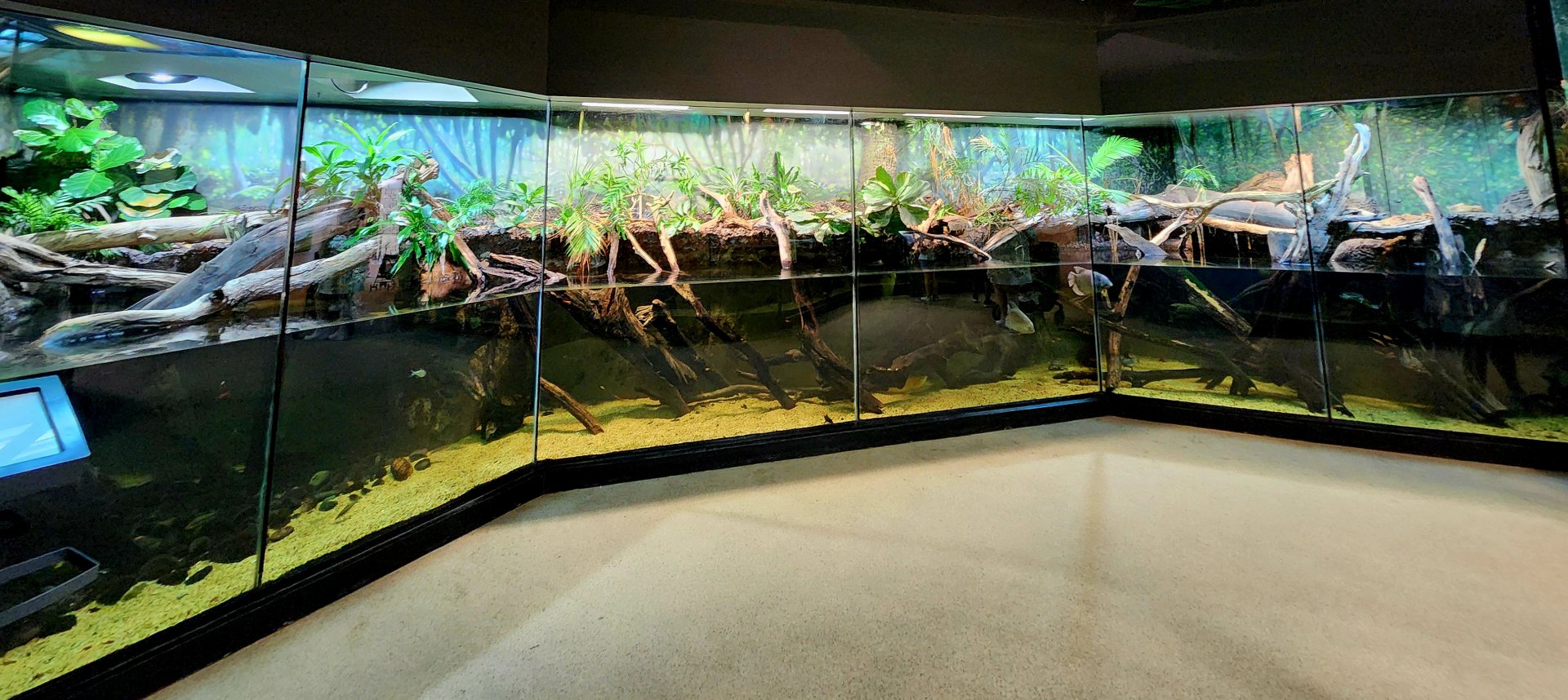 MOLA - Asian Flooded Forest Exhibit