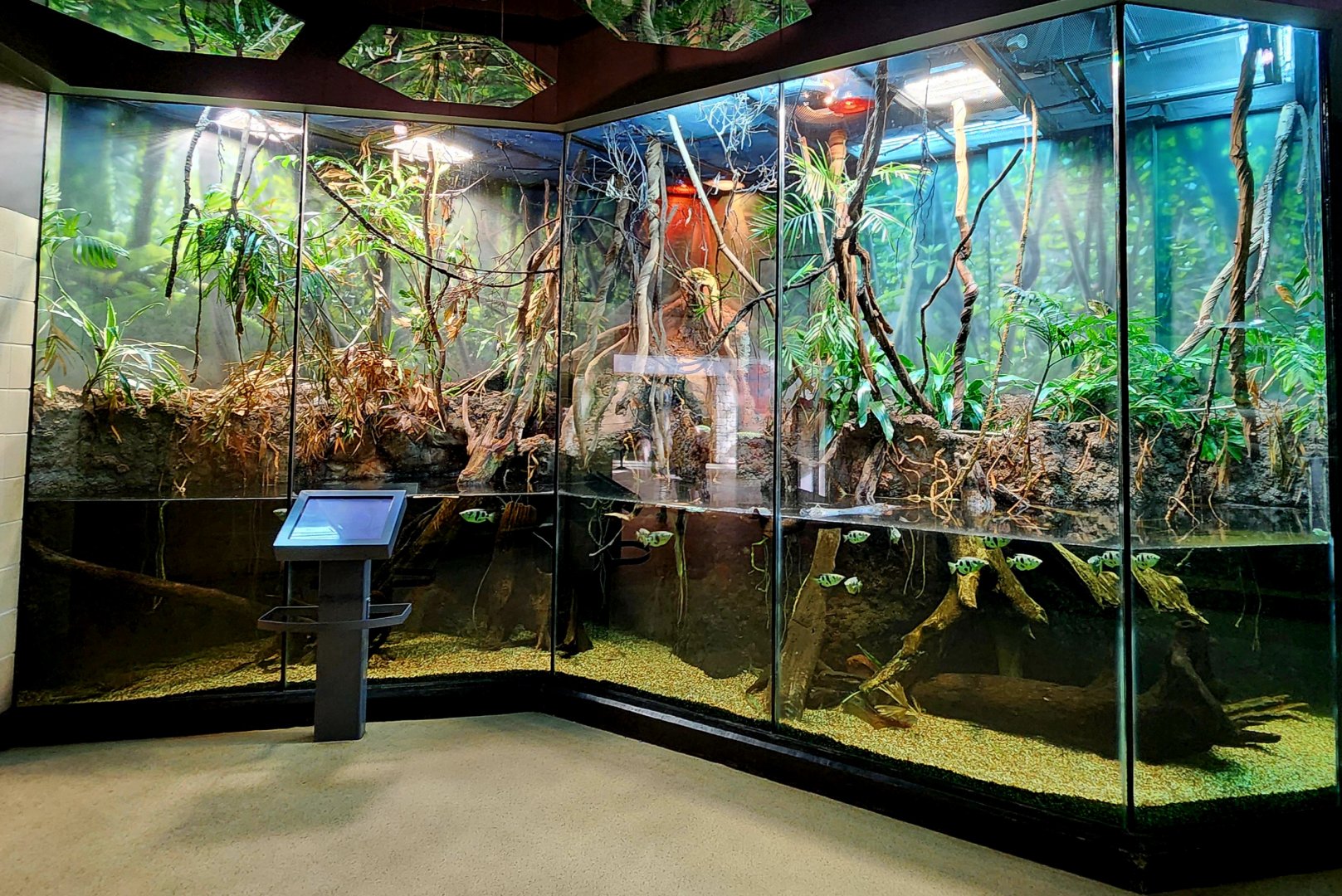 MOLA - Asian Flooded Forest Exhibit