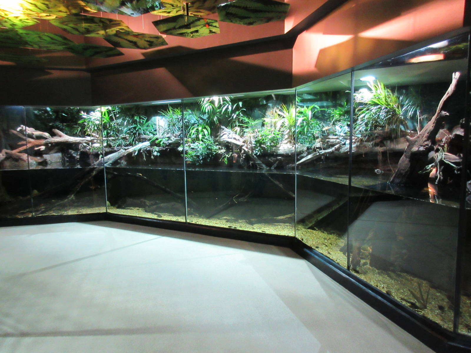 MOLA - Asian Tropical Trails Exhibit