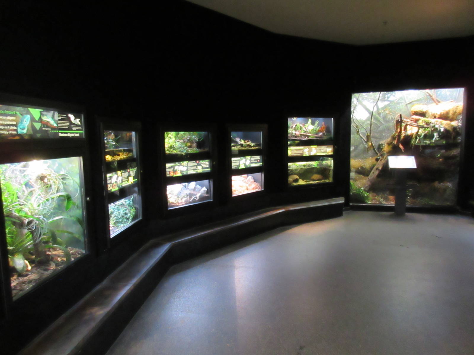 MOLA - Assorted Terrariums