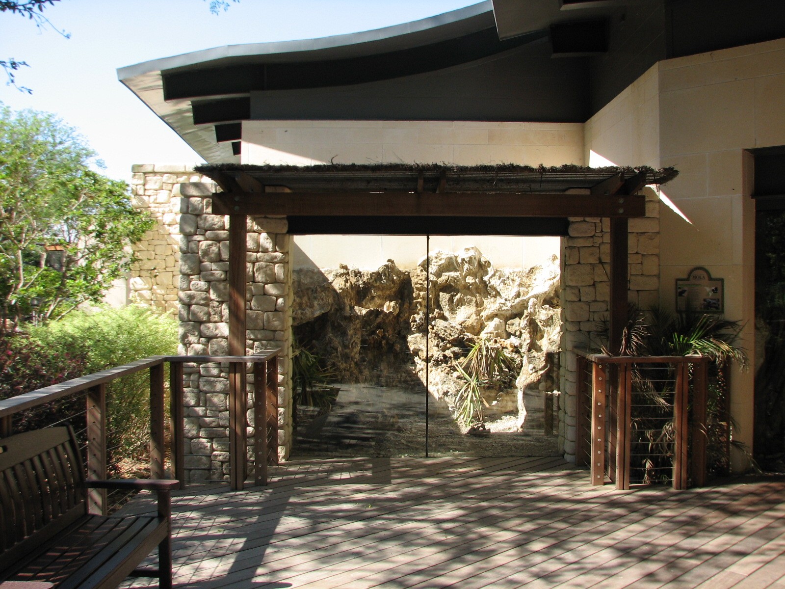 MOLA - Cayman Island Blue Iguana Exhibit