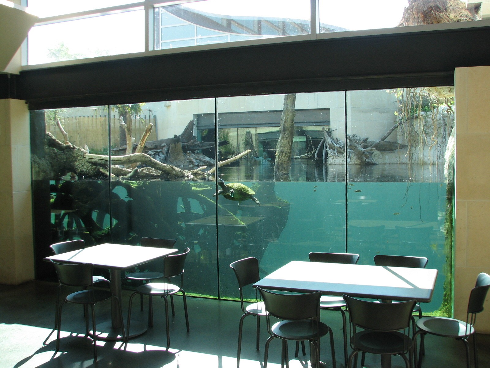 MOLA - Crocodile Cafe Interior View of Gharial River