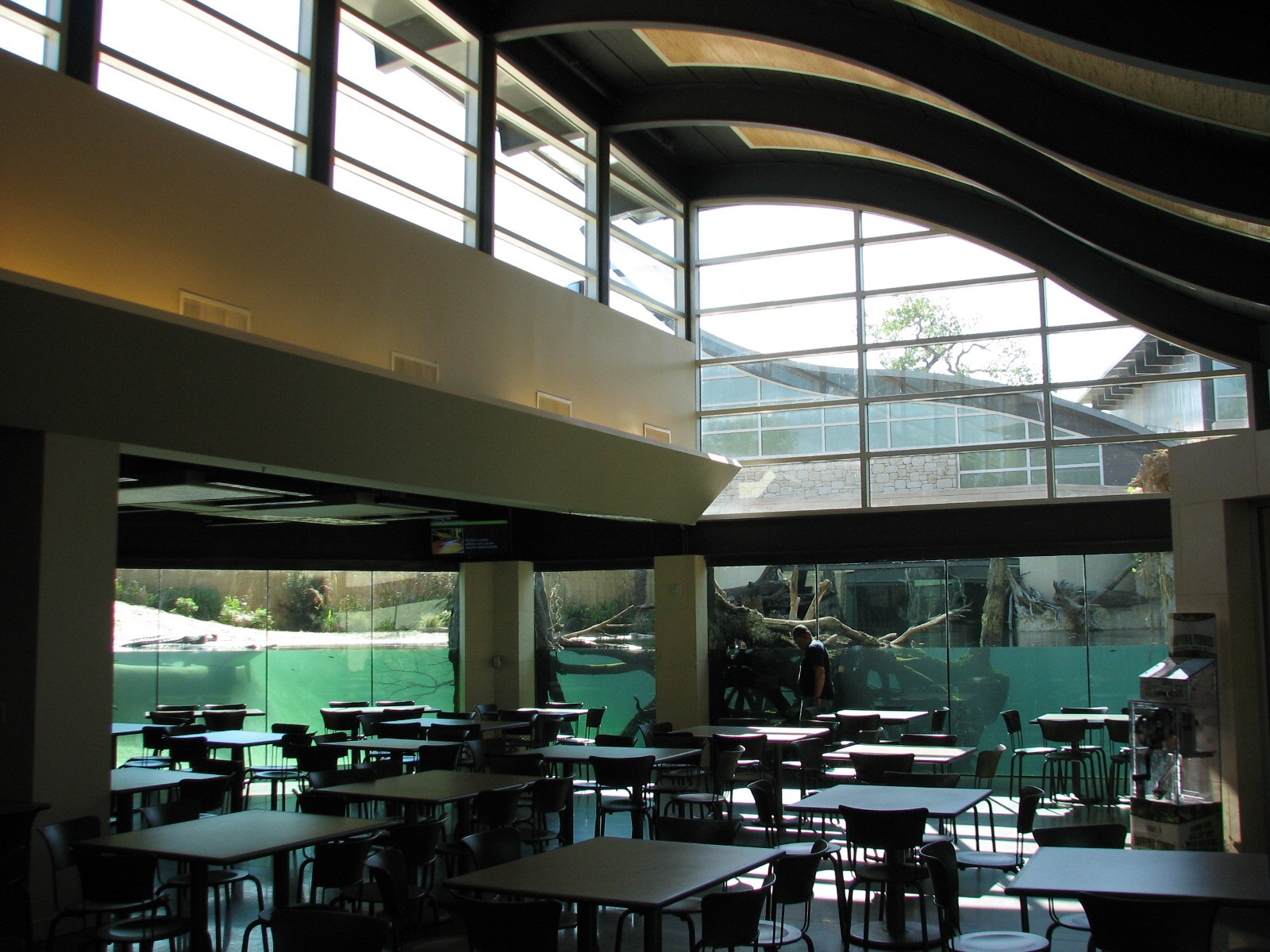 MOLA - Crocodile Cafe Interior