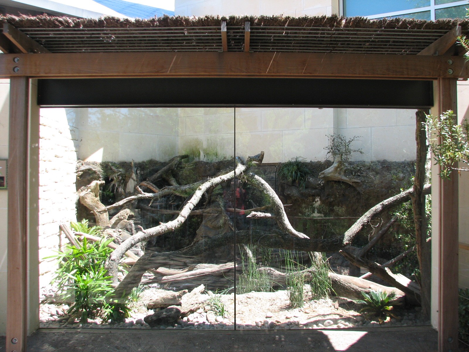 MOLA - Crocodile Monitor Exhibit Exterior