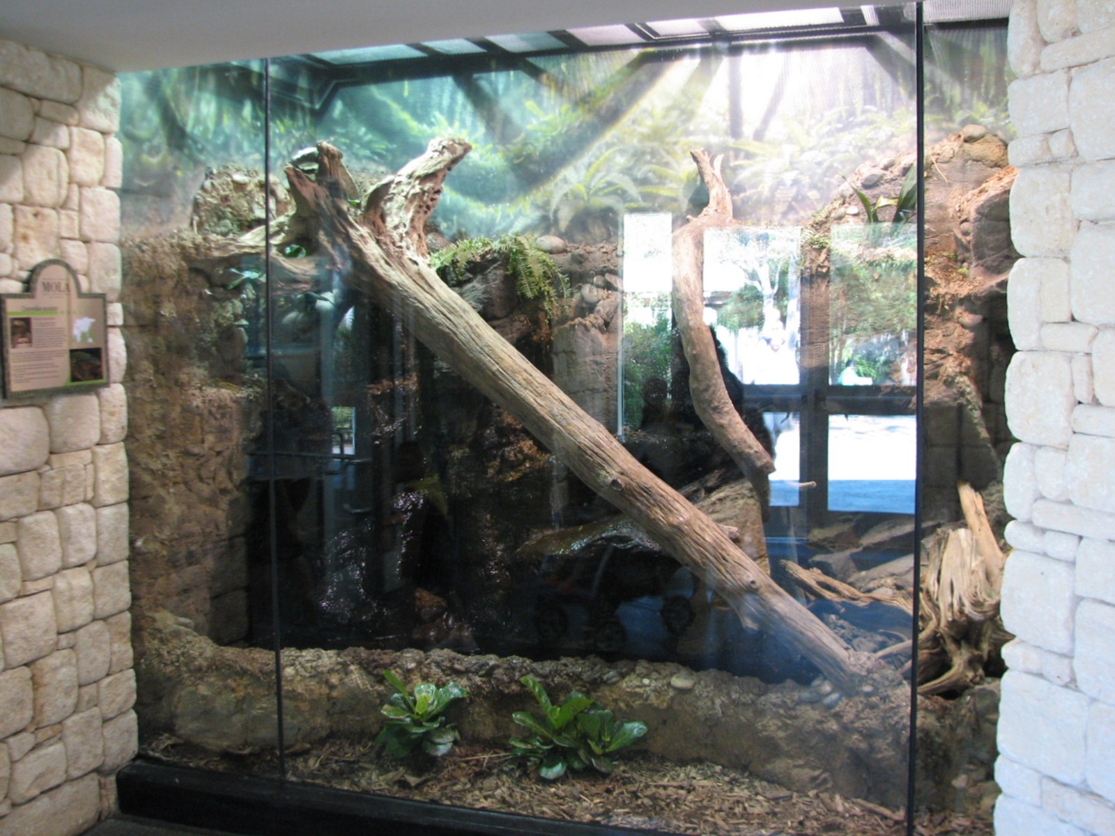 MOLA - Crocodile Monitor Exhibit Interior