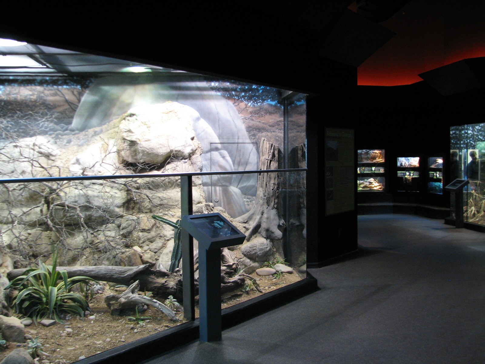 MOLA - Desert Exhibit