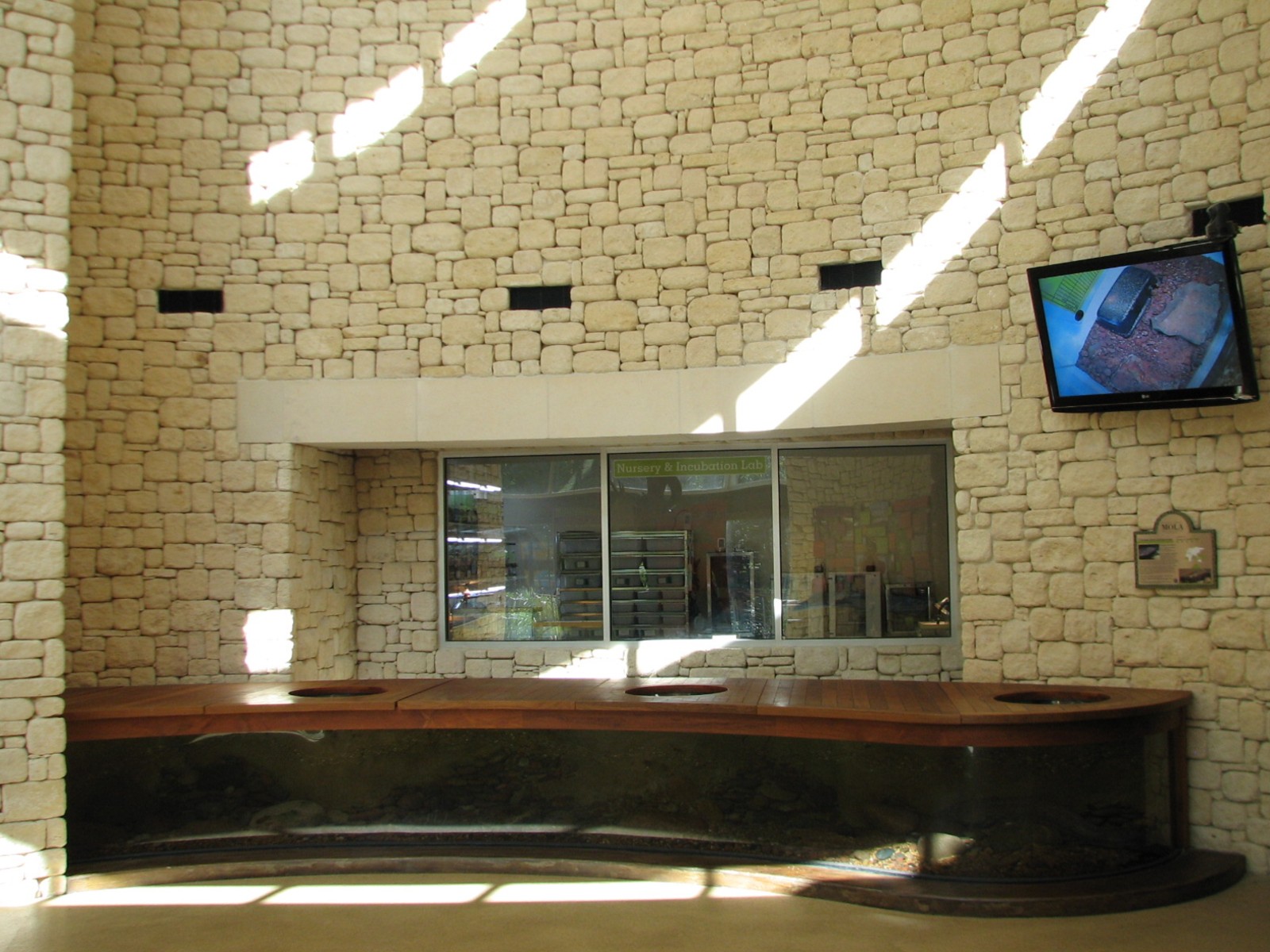 MOLA - Discovery Hub