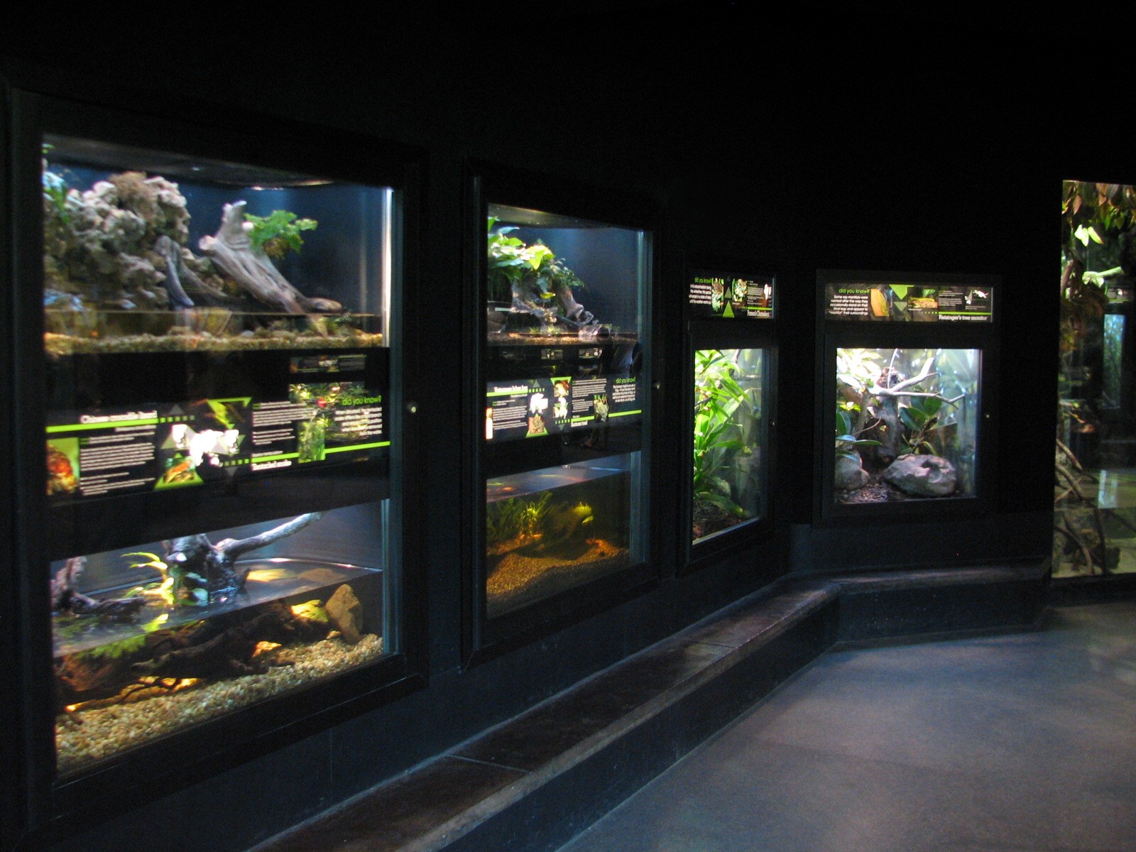 MOLA - Diversity Gallery