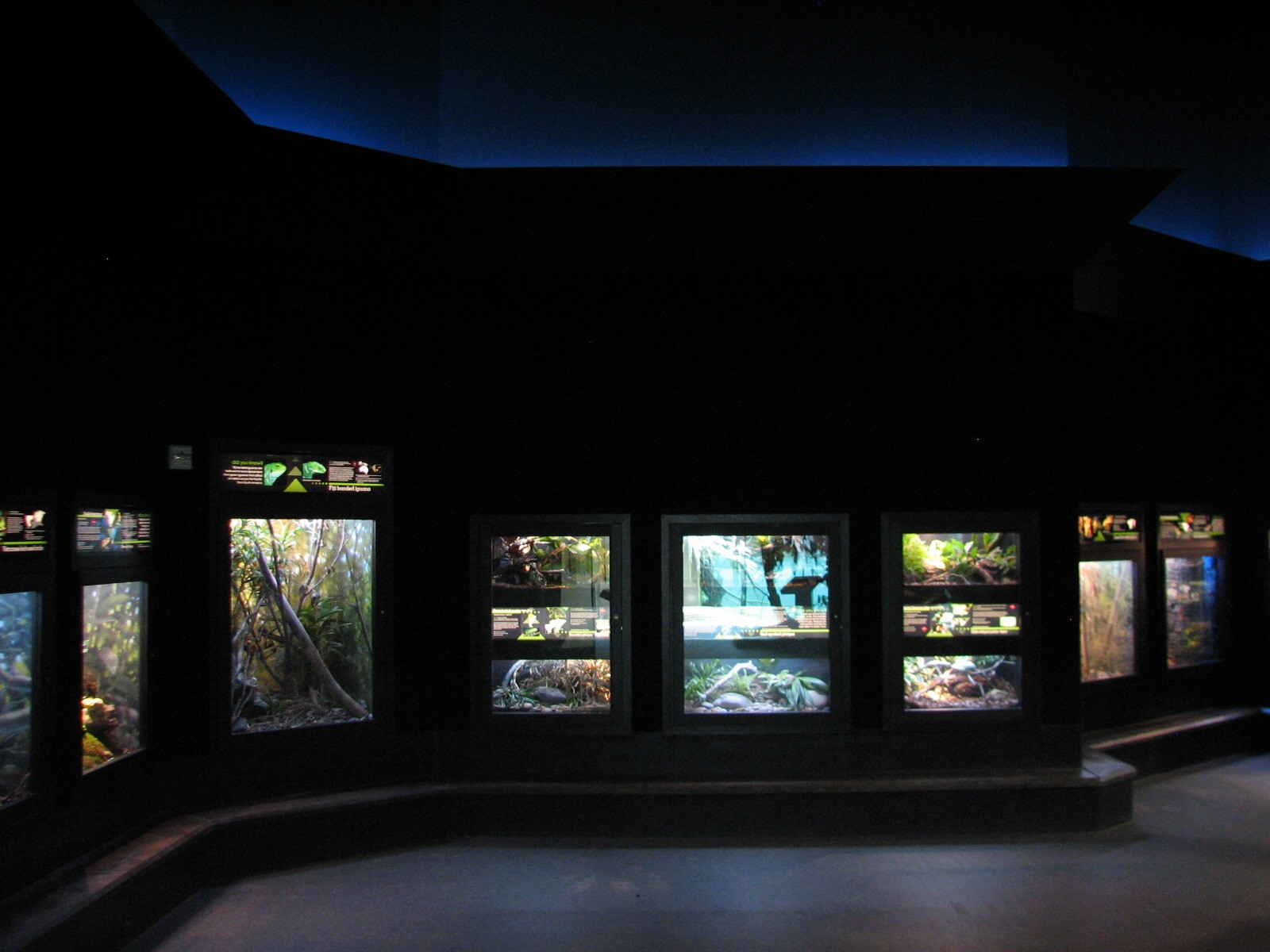 MOLA - Diversity Gallery