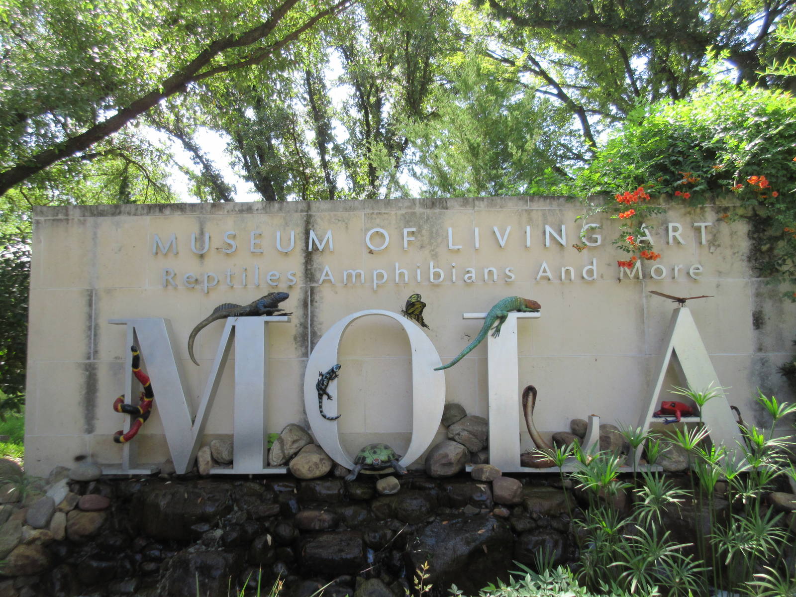 MOLA - Entrance Sign