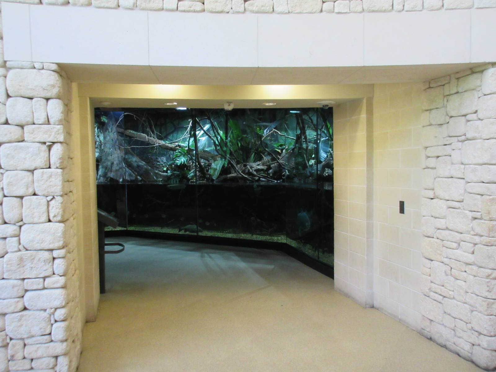MOLA - Flooded Forest Exhibit (glimpse from hallway)