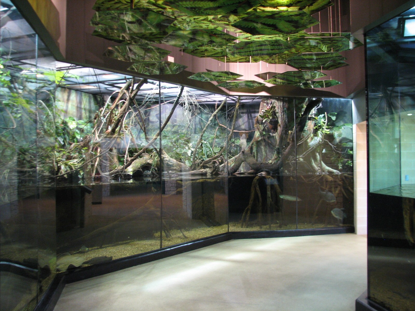 MOLA - Flooded Forest Exhibit