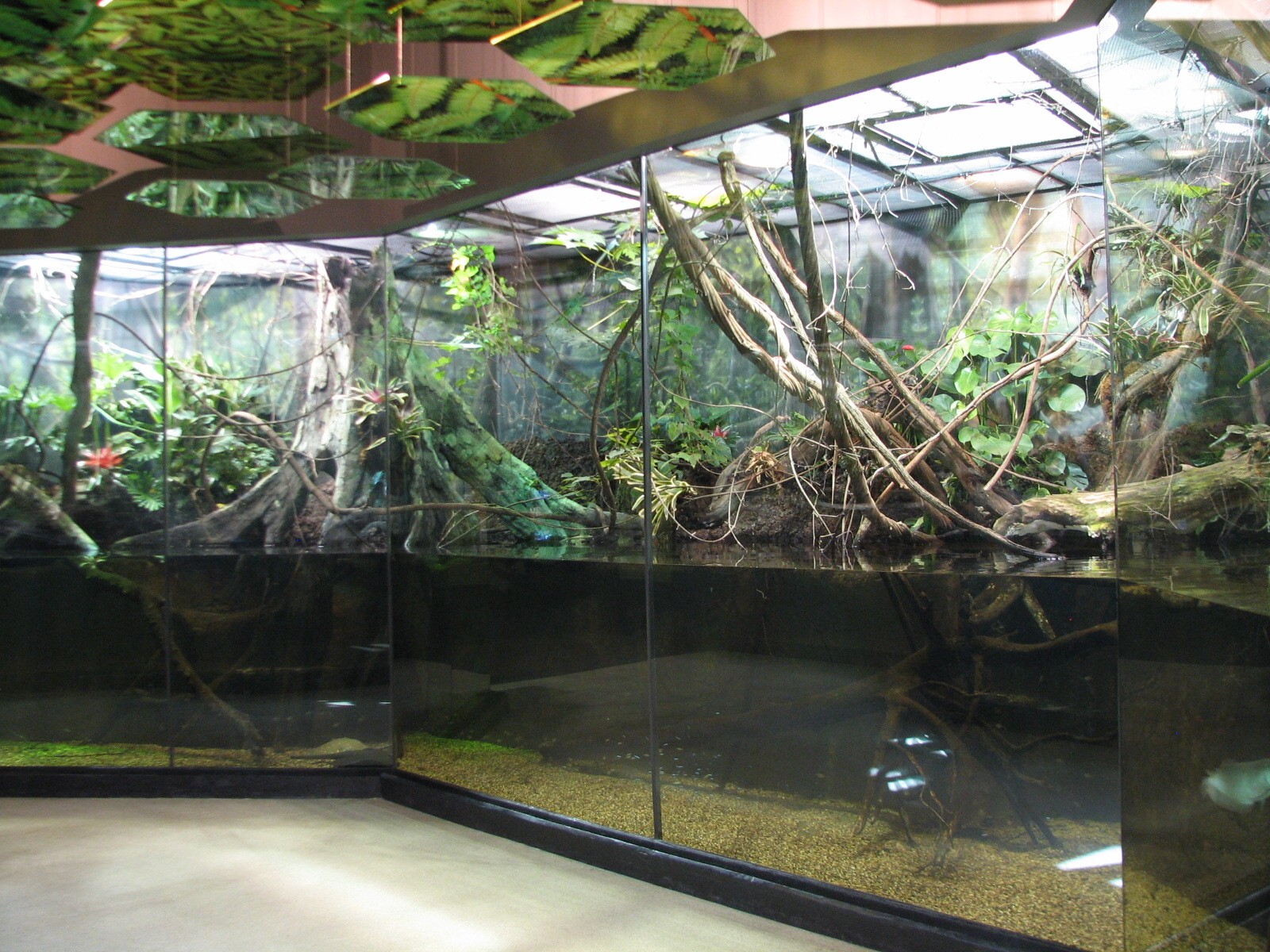 MOLA - Flooded Forest Exhibit