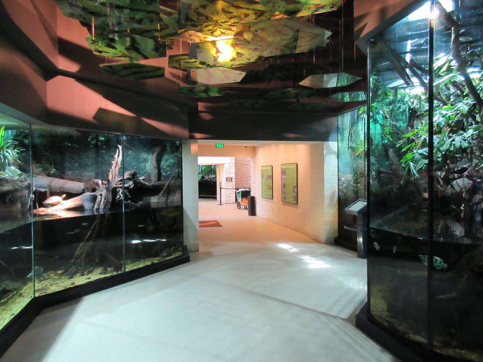 MOLA - Flooded Forest Exhibits