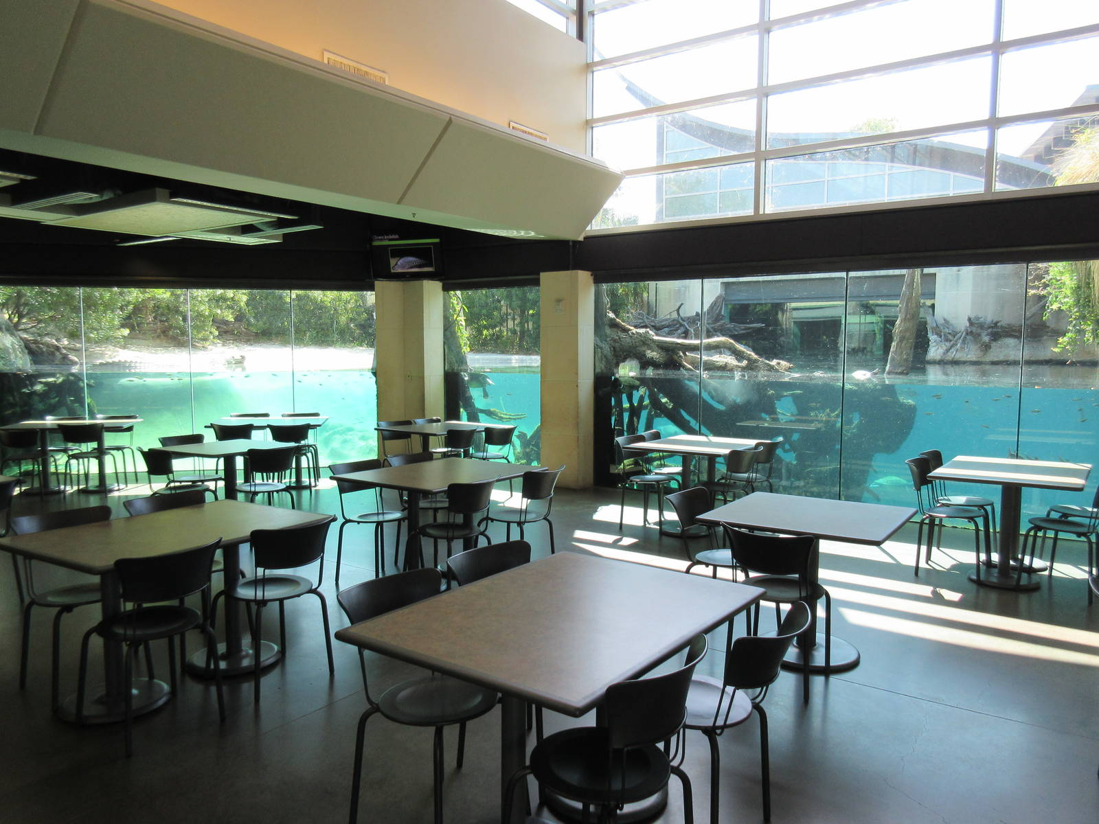 MOLA - Gharial River Exhibit