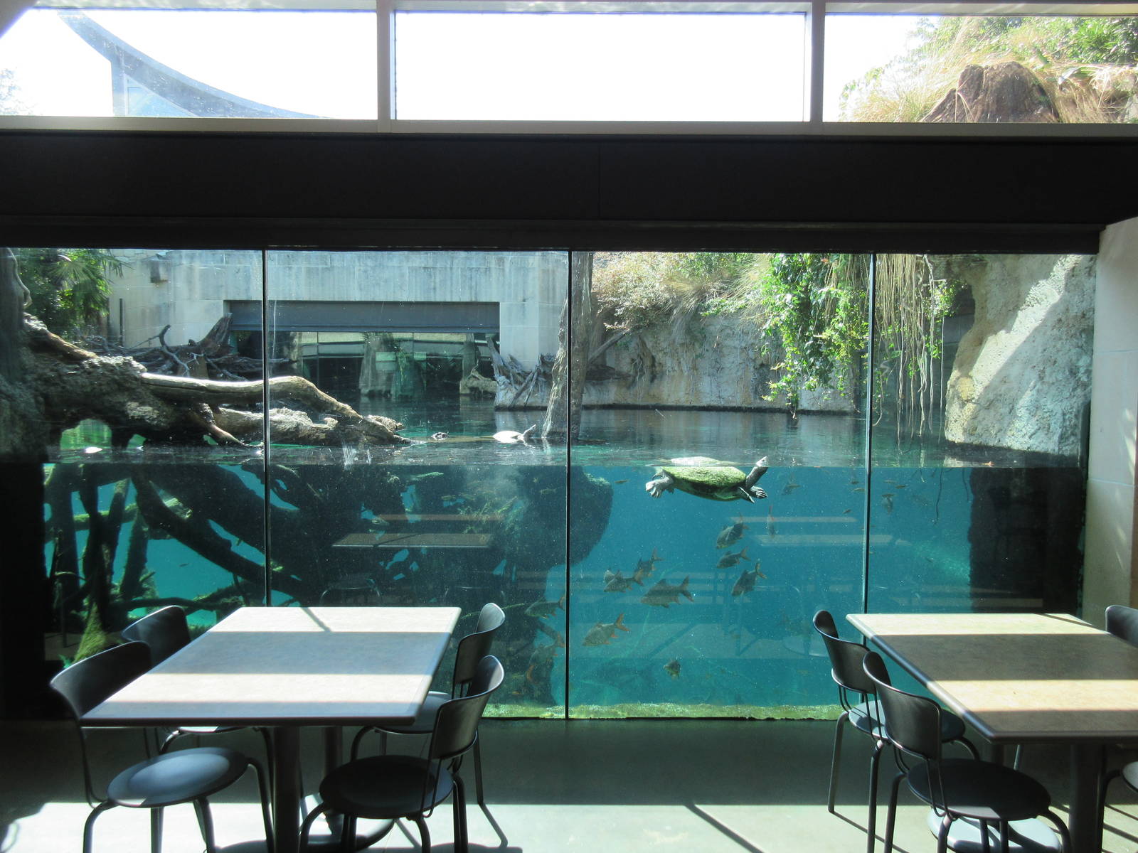 MOLA - Gharial River Exhibit