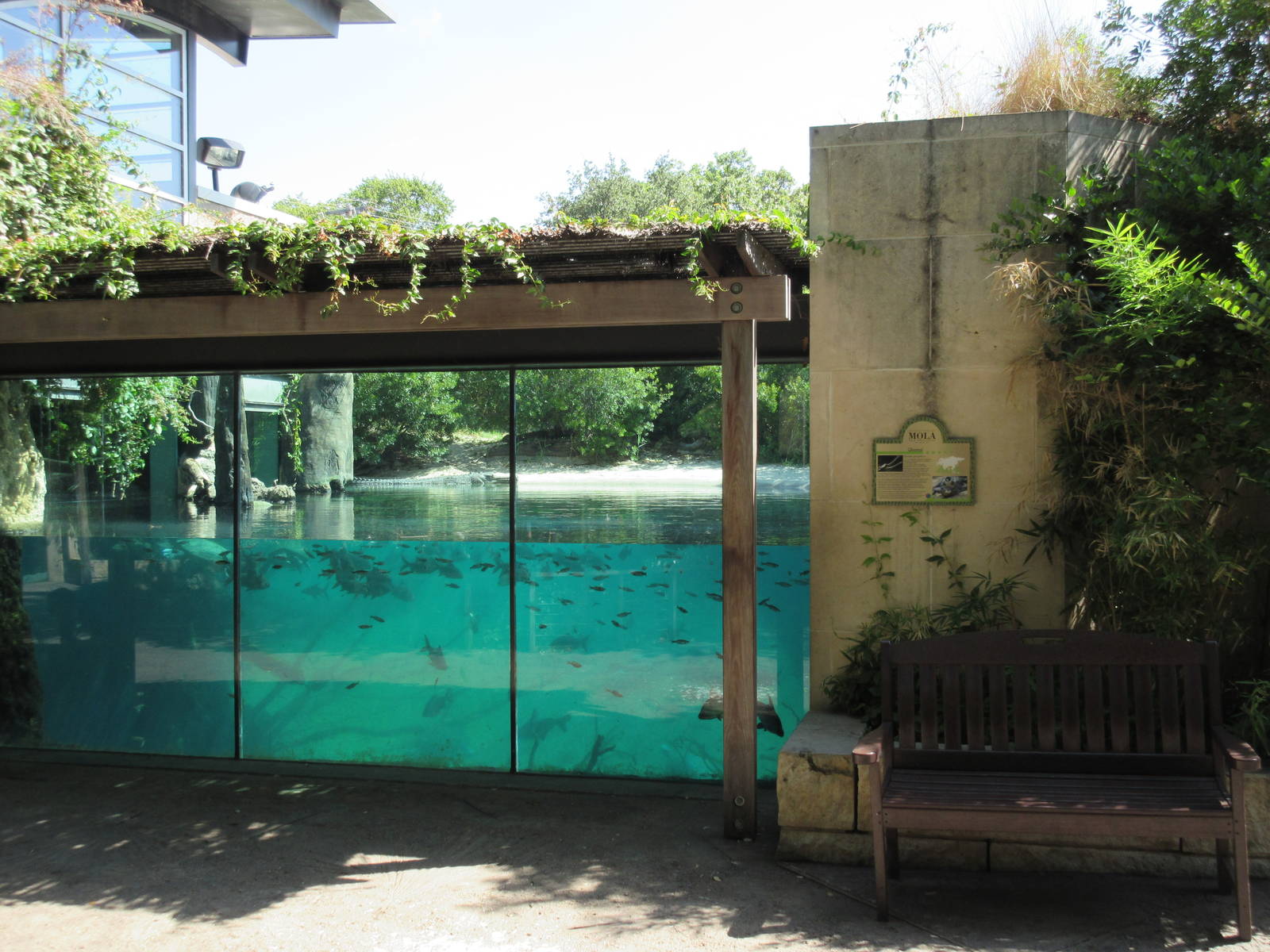 MOLA - Gharial River Exhibit