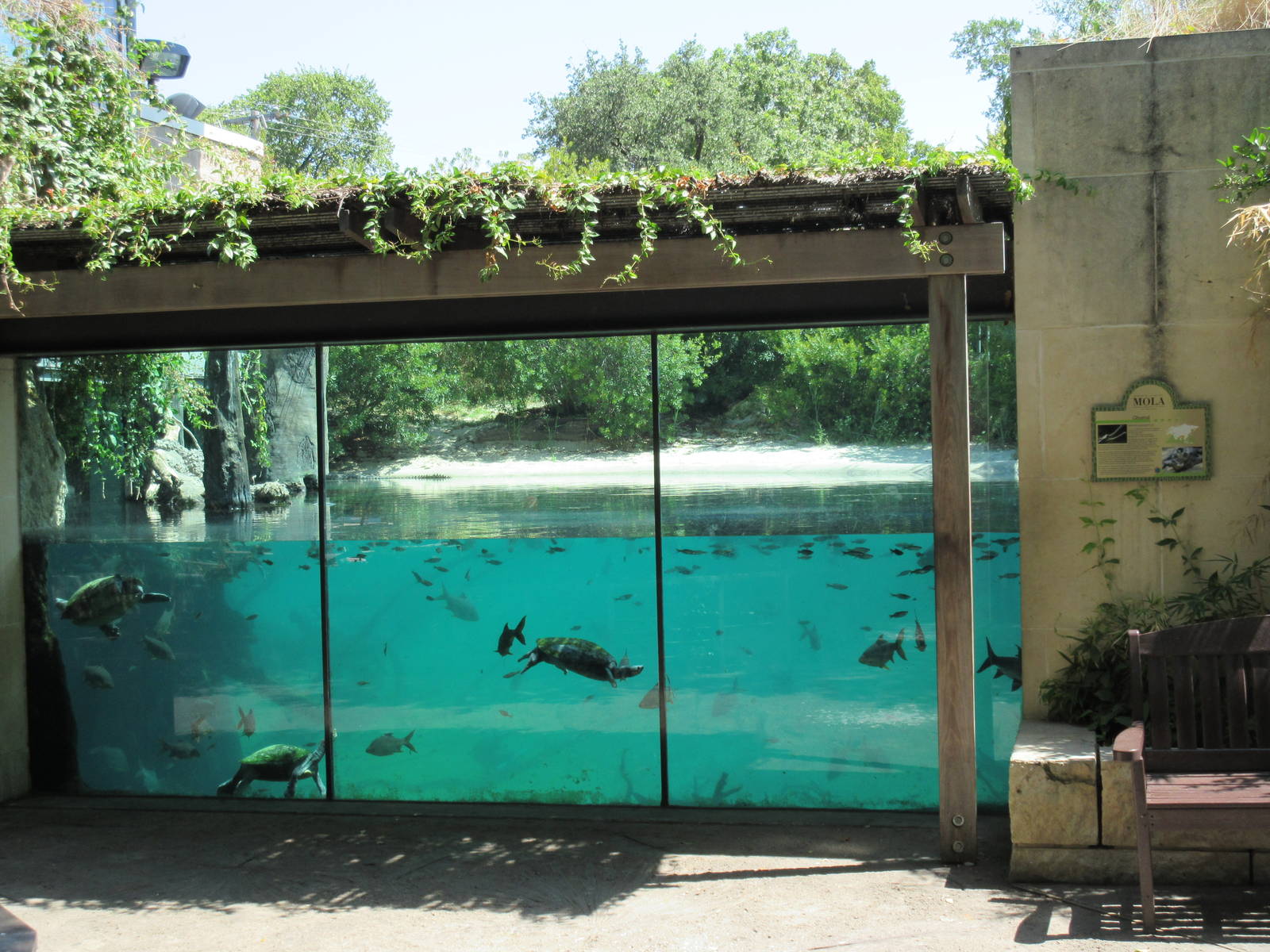MOLA - Gharial River Exhibit