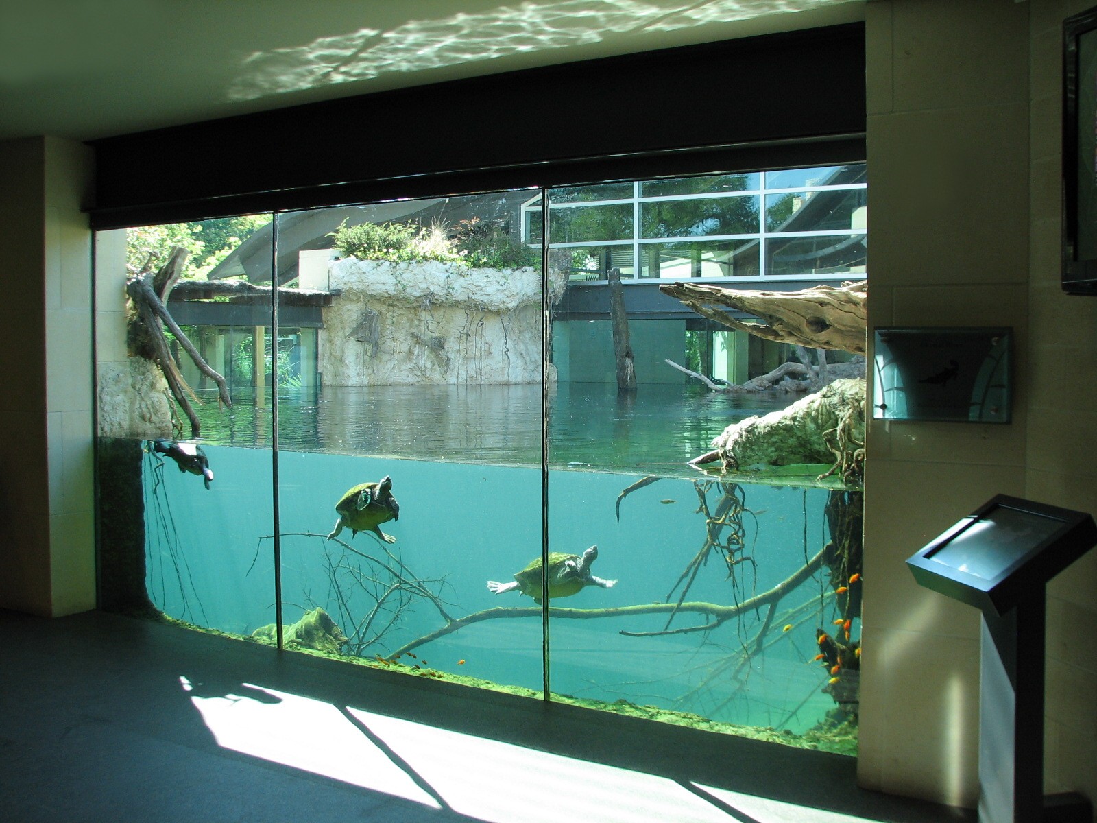 MOLA - Gharial River Interior Viewing Window