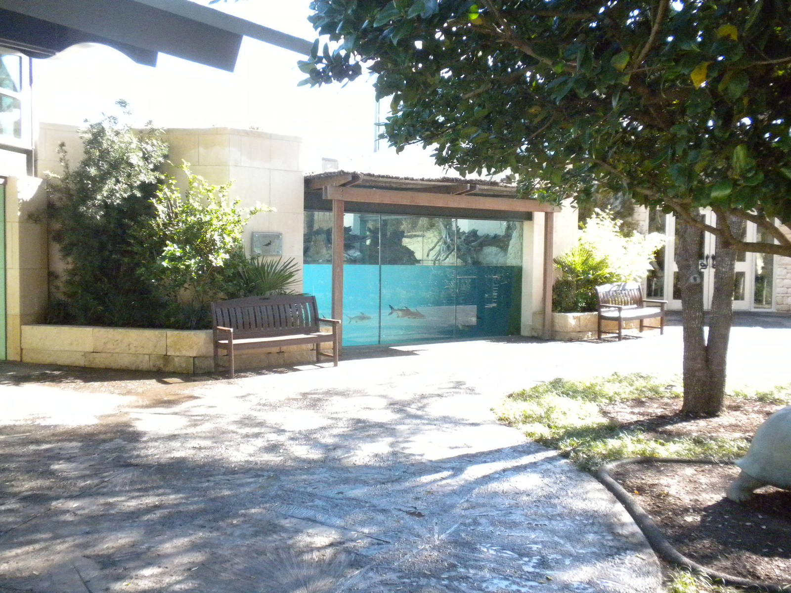 MOLA - Gharial River