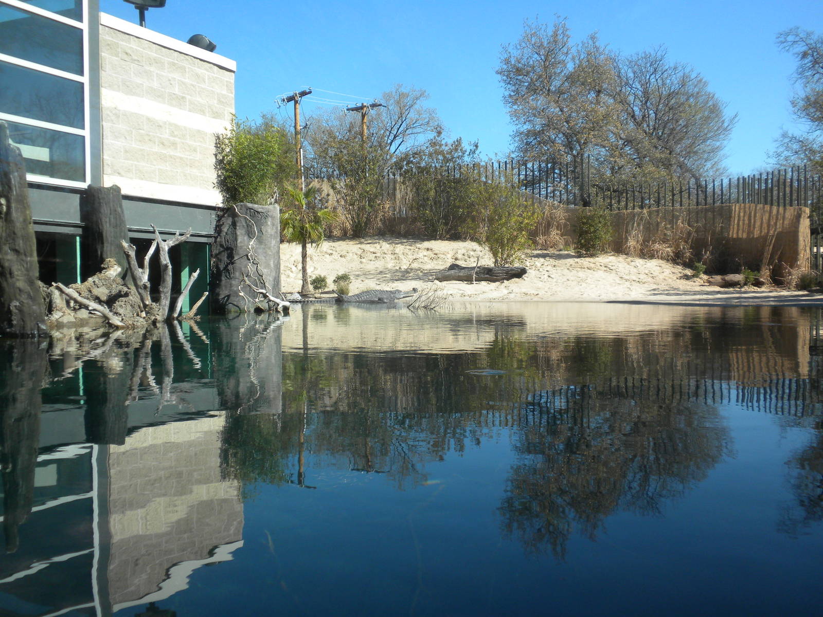 MOLA - Gharial River