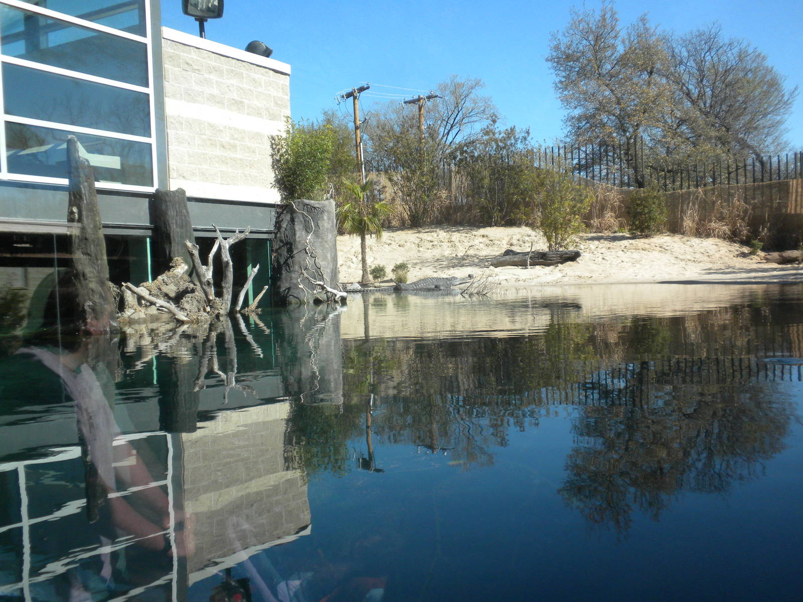 MOLA - Gharial River