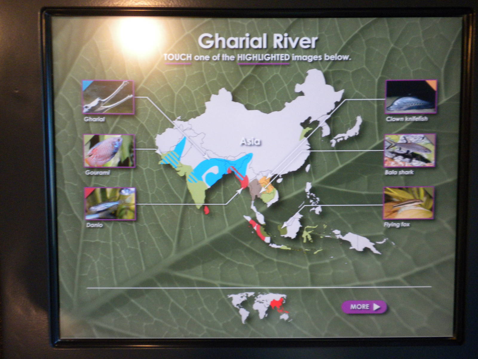 MOLA - Gharial River