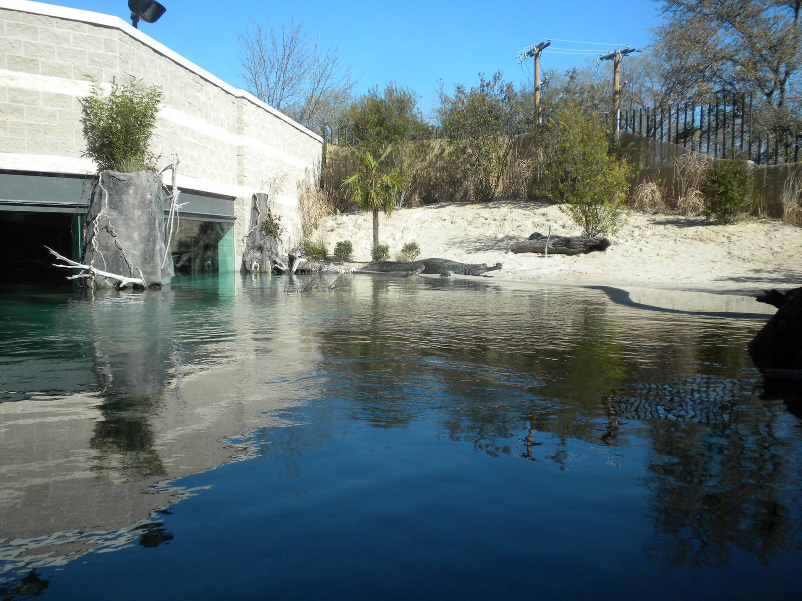 MOLA - Gharial River