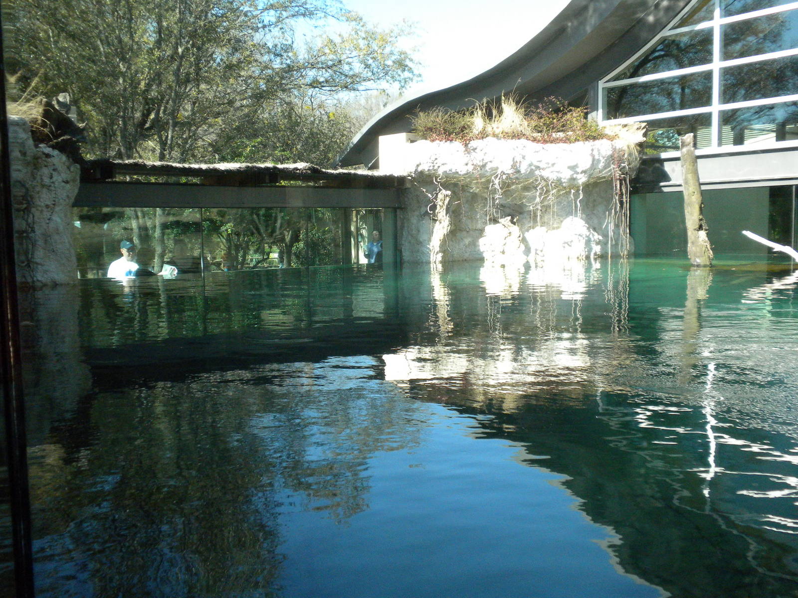 MOLA - Gharial River