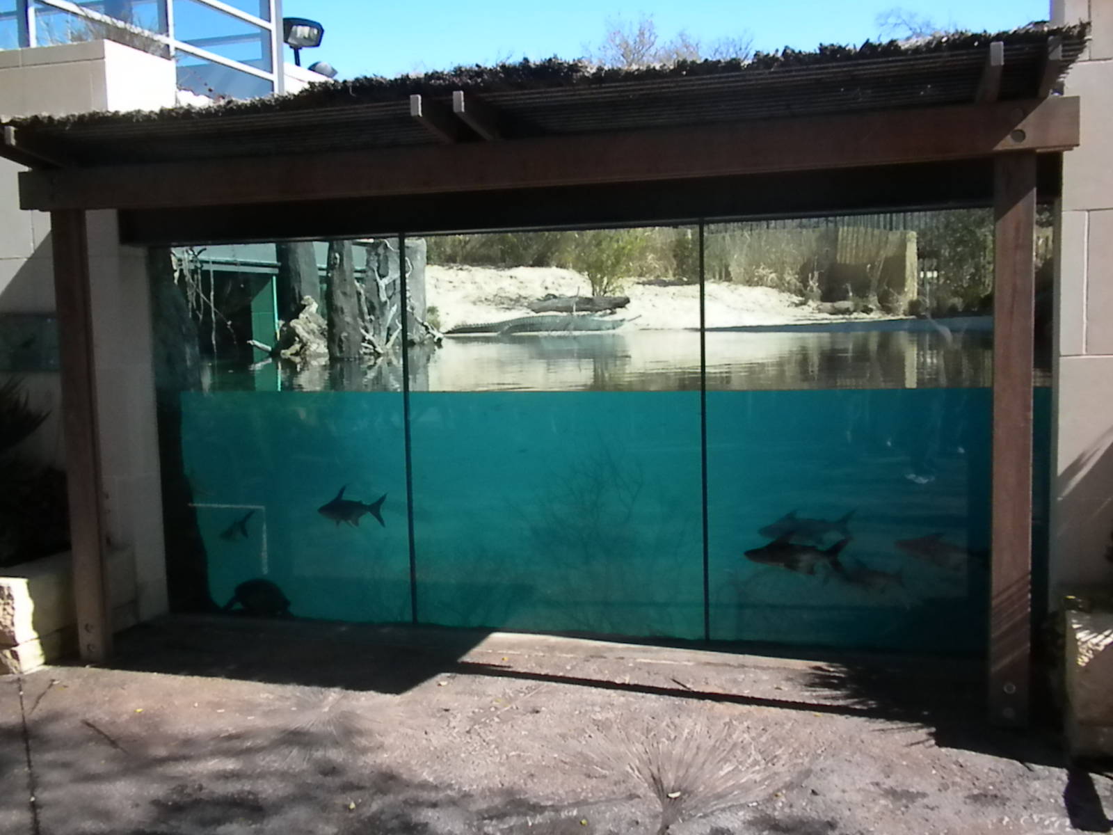 MOLA - Gharial River