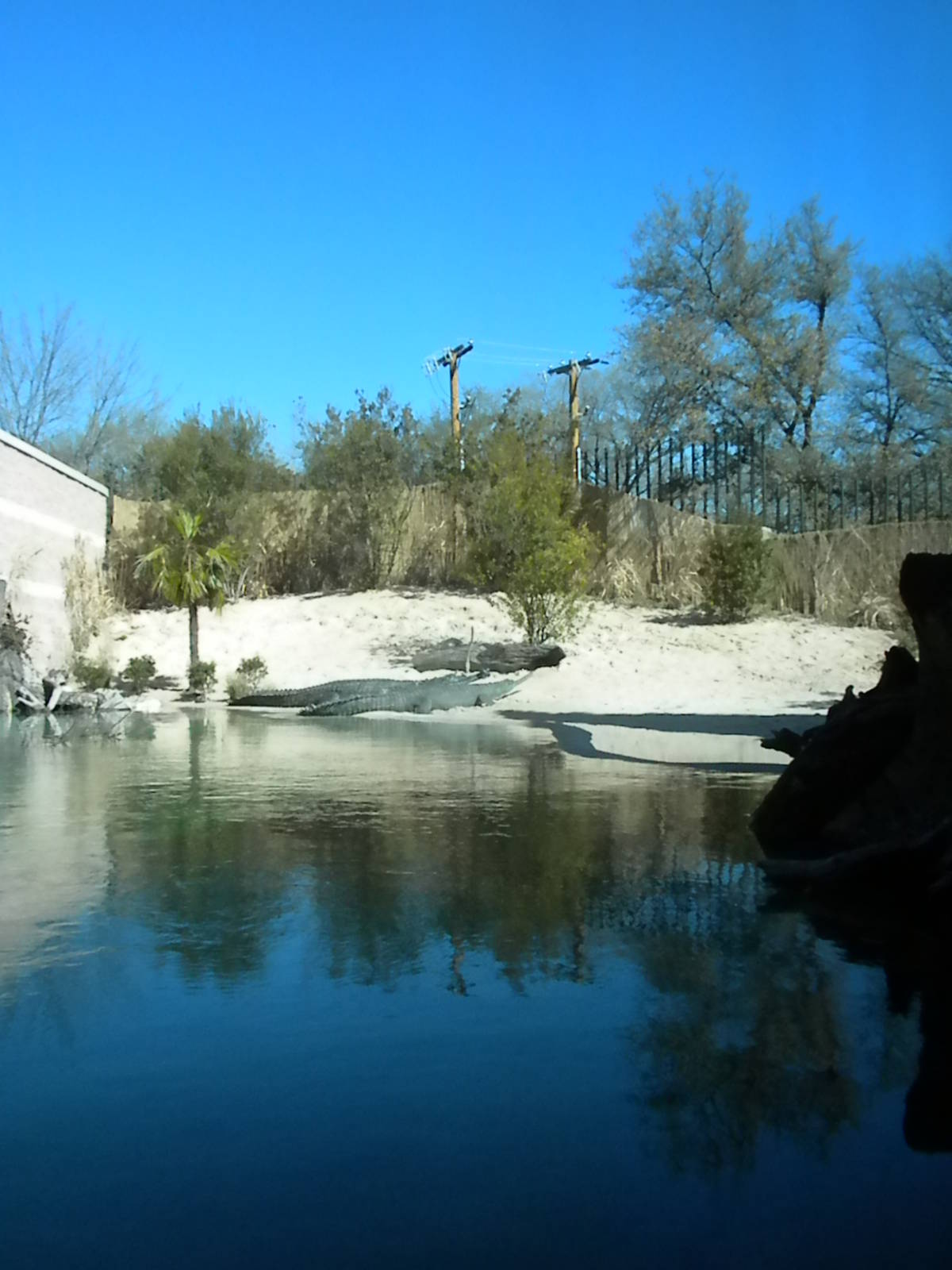 MOLA - Gharial River