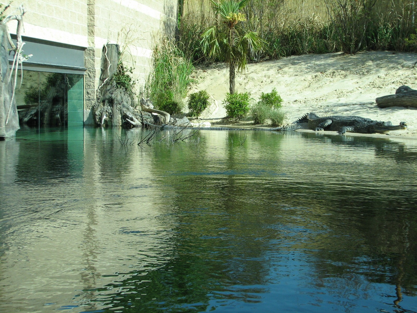 MOLA - Gharial River