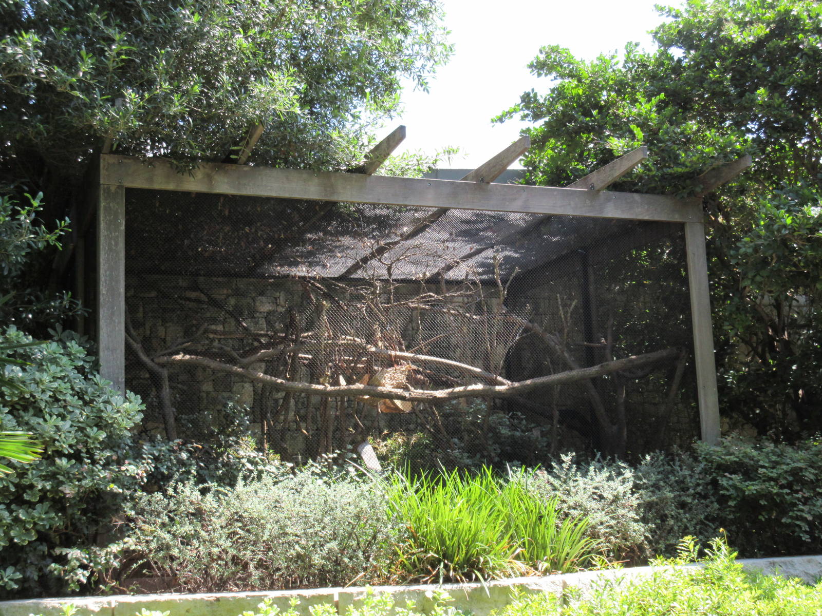 MOLA - Golden-Headed Lion Tamarin Exhibit