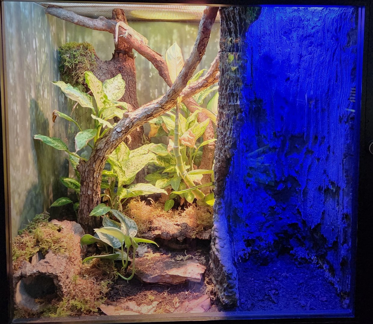 MOLA - Haitian Exhibit